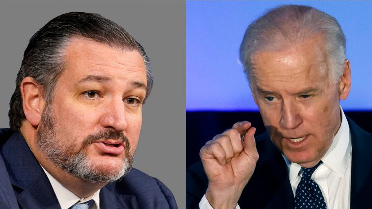 Joe Biden says Texas voters should oust Ted Cruz in next election