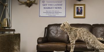 Texas Agriculture Commissioner Miller reminds the Texas agriculture community that the USDA’s deadline to respond to the 2022 Census of Agriculture is Monday, February 6th