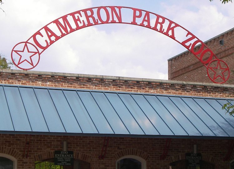 Cameron Park Zoo Director has announced his retirement from the City of Waco after 45 years of service.