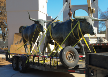 7 bronze longhorn statues are back in their natural habitat after being temporarily relocated for the Waco Suspension Bridge renovation project