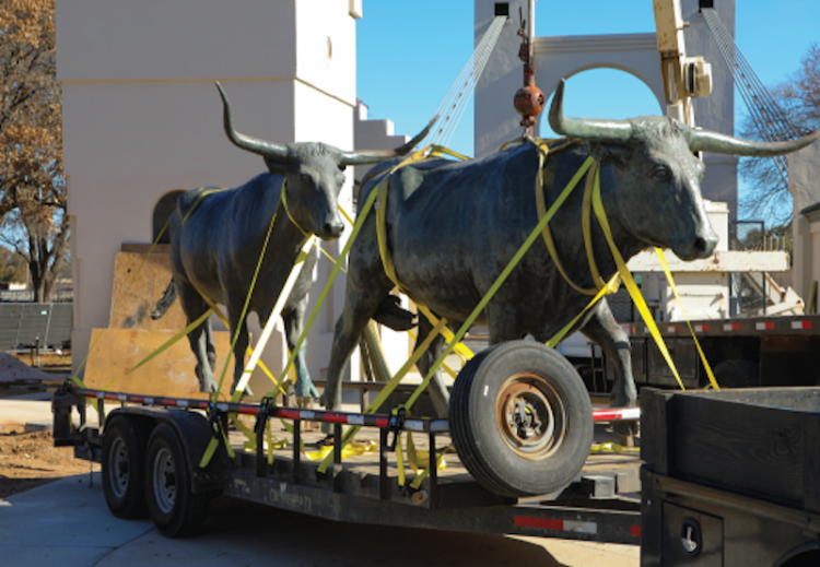 7 bronze longhorn statues are back in their natural habitat after being temporarily relocated for the Waco Suspension Bridge renovation project
