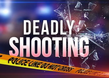 16-year-old shot and killed in the 3300 Block of Brookview Tuesday afternoon, WPD says