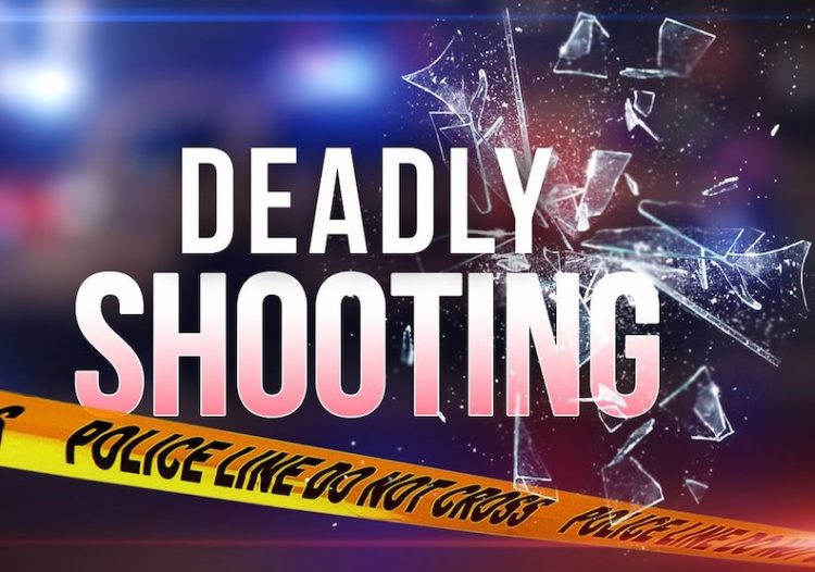 16-year-old shot and killed in the 3300 Block of Brookview Tuesday afternoon, WPD says