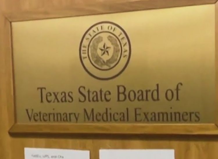 Gov. Abbott named Steven Golla as chair of the State Board of Veterinary Medical Examiners