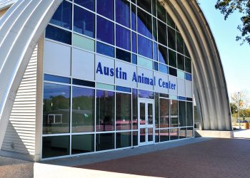 Austin Animal Center received a seizure of 20 large dogs, officials say