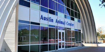 Austin Animal Center received a seizure of 20 large dogs, officials say