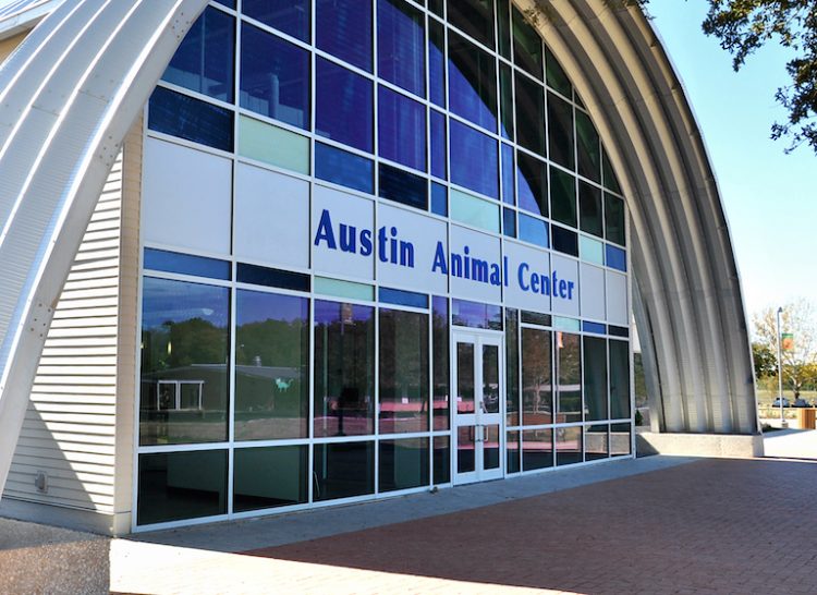 Austin Animal Center received a seizure of 20 large dogs, officials say