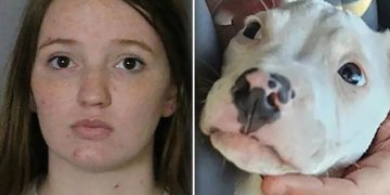Mother left everyone in disbelief after they heard her excuse why she left her baby alone with pit bull only for the dog to chew on the child’s hands and leave her without 5 fingers!