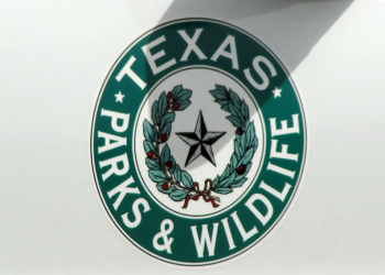 Photo capturing a family jumping for joy won the Texas State Parks photo contest grand prize, state officials say