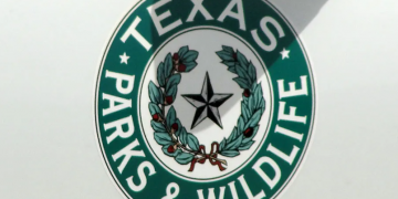 Photo capturing a family jumping for joy won the Texas State Parks photo contest grand prize, state officials say