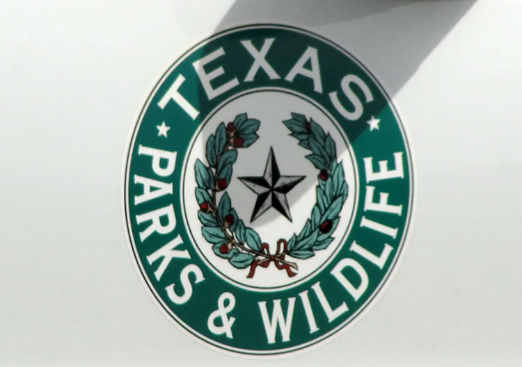 Photo capturing a family jumping for joy won the Texas State Parks photo contest grand prize, state officials say