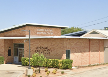 The Waco Animal Shelter will waive reclaim fees for pets in Waco city limits through January 6th, officials say