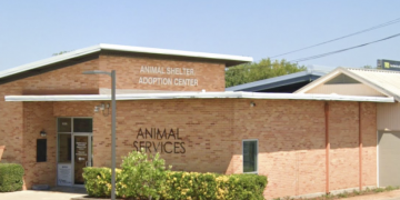 The Waco Animal Shelter will waive reclaim fees for pets in Waco city limits through January 6th, officials say