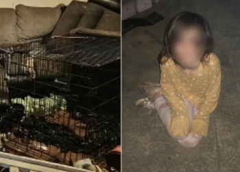 Dad and mom of six children, who wanted their 6-year-old daughter to eat her own waste while keeping her locked in cage, regularly beat her and forced the child to eat animal food until she became Iimp and nearly died, were charged!
