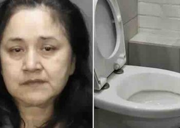 Woman, who grabbed chiId by the hair before dragging him into bathroom and shovlng his head in the toiIet and forcing the boy to drink water from it, ripping out parts of the child’s hair in the process, was charged!