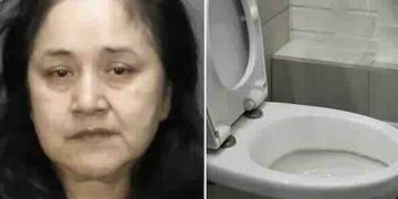 Woman, who grabbed chiId by the hair before dragging him into bathroom and shovlng his head in the toiIet and forcing the boy to drink water from it, ripping out parts of the child’s hair in the process, was charged!