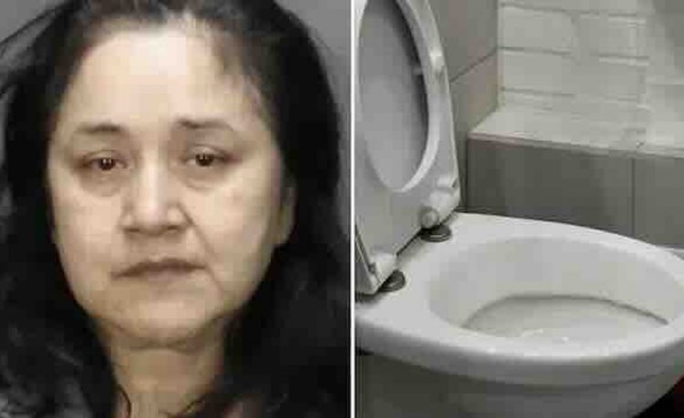 Woman, who grabbed chiId by the hair before dragging him into bathroom and shovlng his head in the toiIet and forcing the boy to drink water from it, ripping out parts of the child’s hair in the process, was charged!