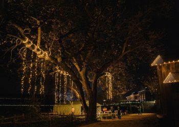 New Look for Christmas Lights in the Village and Scholarship Opportunities at MCC