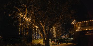 New Look for Christmas Lights in the Village and Scholarship Opportunities at MCC