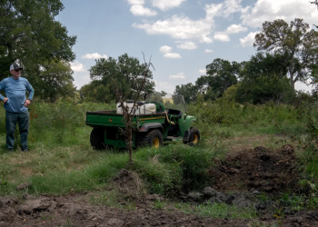 Toxic Fertilizer Devastates Texas Farms: PFAS Contamination Threatens Livestock and Crops