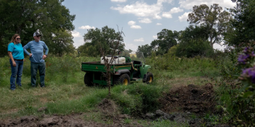 Toxic Fertilizer Devastates Texas Farms: PFAS Contamination Threatens Livestock and Crops
