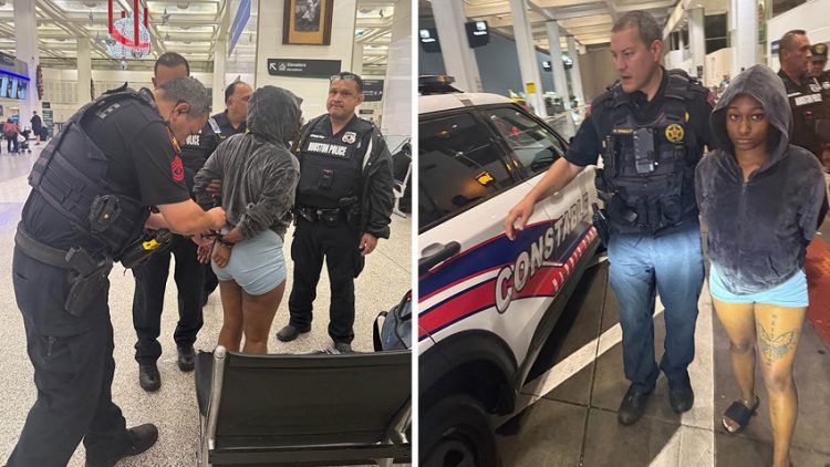 Woman Arrested After Fatal Hit-and-Run in Harris County