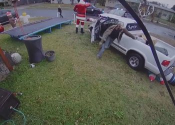 Man Arrested After Leading Authorities on Pursuit in Stolen Vehicle, Crashes Into Local Resident’s Yard