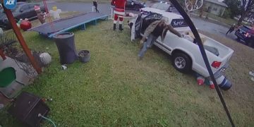 Man Arrested After Leading Authorities on Pursuit in Stolen Vehicle, Crashes Into Local Resident’s Yard