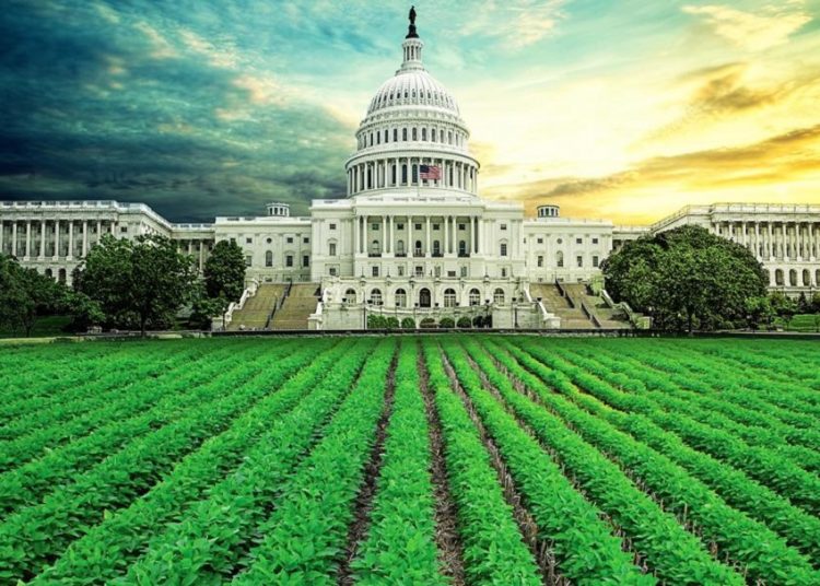US Farm Bill Extended to Support Farmers in Texas, Preventing Shutdown