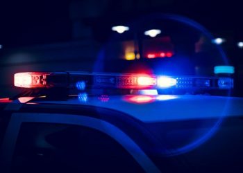 Former Landscaping Company Office Manager Sentenced in Embezzlement Case