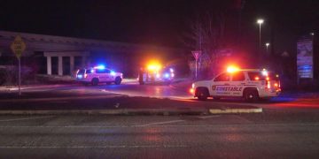 Suspect Apprehended After Carjacking and Pursuit in Harris County