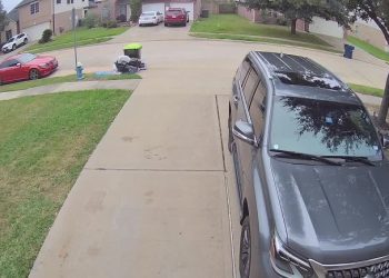 23-Year-Old Arrested in Connection with Tire-Slashing Incidents in Harris County