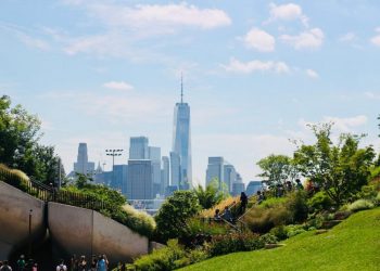 The Rise of Urban Gardening: Transforming City Landscapes