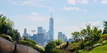 The Rise of Urban Gardening: Transforming City Landscapes