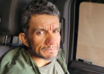 Multi-agency search led to the apprehension of seven illegal immigrants and the fugitive driver who was arrested for human smuggling