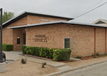 Pet Circle Waco offers new apparel to support local animal shelter