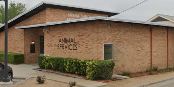 Pet Circle Waco offers new apparel to support local animal shelter