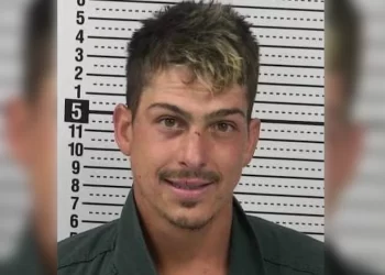 Man told police he ‘did not want his mother to suffer anymore and did not want to see her go to jail’ after grabbing a plastic bag and suffocating the woman to death; sentenced