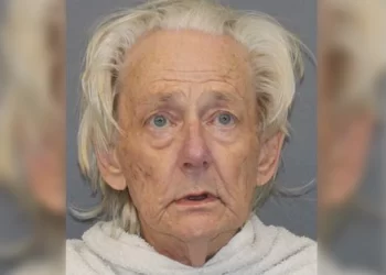 Man told police his living partner, who was ‘very difficult to live with and usually left the lights and water on’, said something offensive to him before he killed him in their shared home