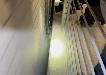 Waco Police Department officers help rescue Great Horned Owl trapped at parking garage