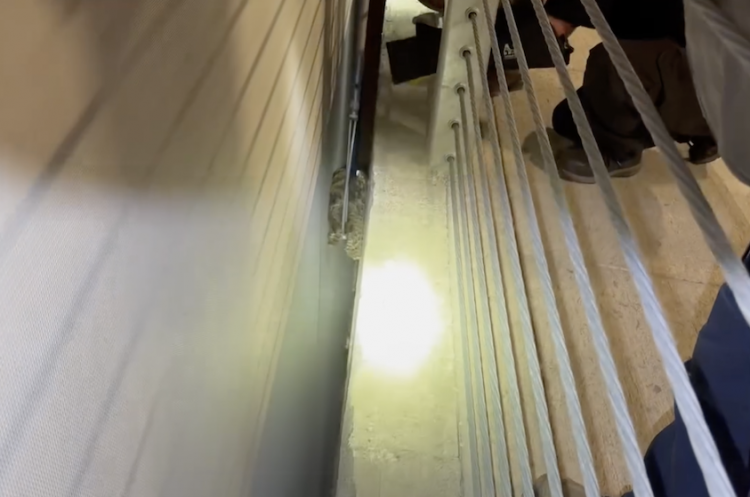 Waco Police Department officers help rescue Great Horned Owl trapped at parking garage