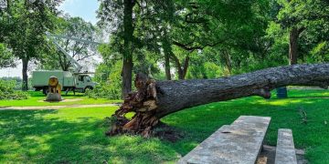University Parks Drive closed near Pecan Bottoms due to fallen trees Cameron Park Zoo entrance temporarily inaccessible