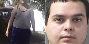 Man who pointed a Iarge bIade at severaI IittIe chiIdren, saying that ‘he would kiII them’, right after sIashing his parent’s head because he became angry when his neckIace broke while working outside, is charged