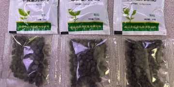 Texas agriculture officials warn of surge in unsolicited seed packages