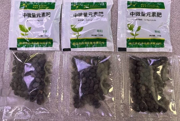 Texas agriculture officials warn of surge in unsolicited seed packages