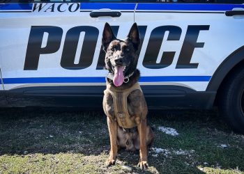 Waco Police Department celebrates K9 veterans day