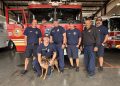 Firefighters from Station 11 spend time with adoptable dog Contra at Pet Circle Regional Animal Center