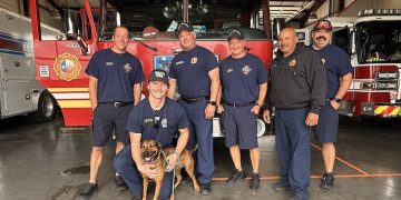 Firefighters from Station 11 spend time with adoptable dog Contra at Pet Circle Regional Animal Center