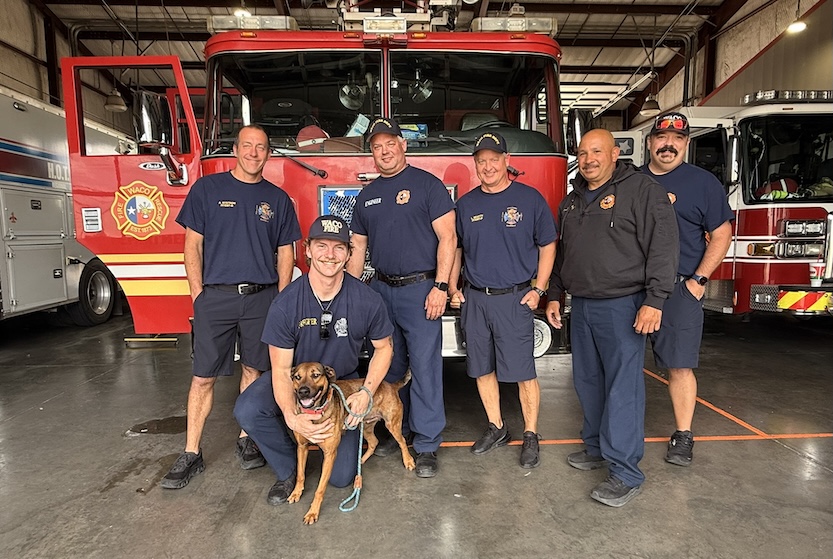 Firefighters from Station 11 spend time with adoptable dog Contra at Pet Circle Regional Animal Center