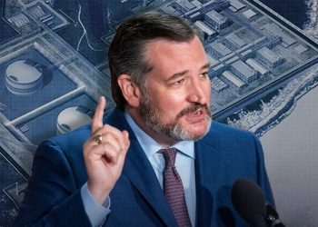 Texas Sen. Ted Cruz warns Republicans not to repeat past mistake of dismissing his idea in upcoming political fight while seeking budget deal that would fund ICE for the next 10 years